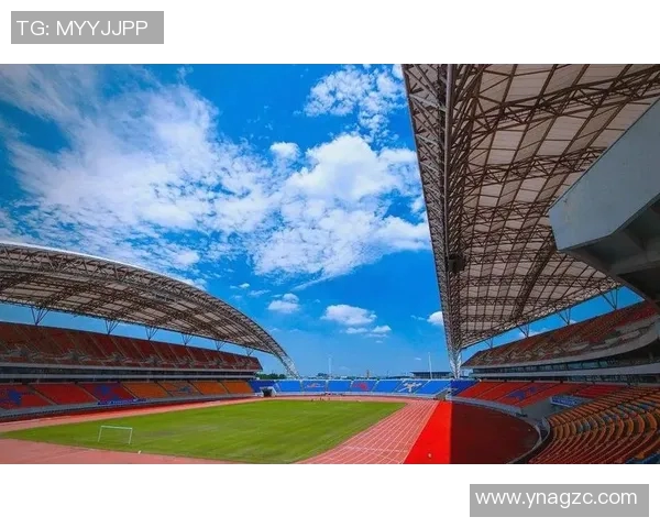 以职业联赛为核心打造多元化体育产业发展模式促进体育经济新动能升级