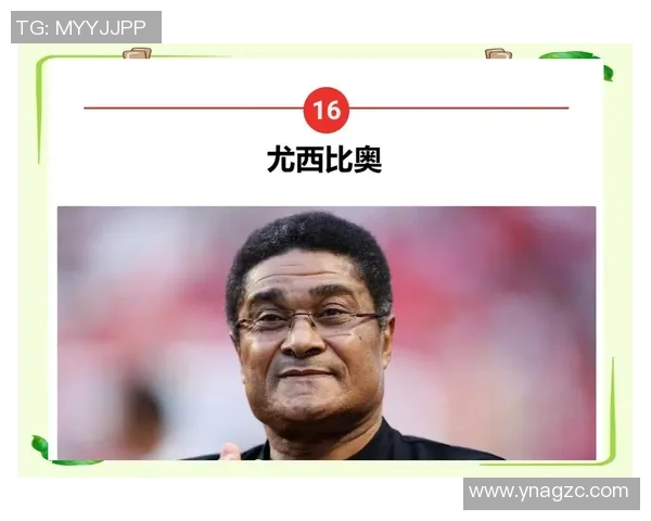 光头足球明星的传奇人生与赛场风采揭秘，十位球星的故事与成就分享